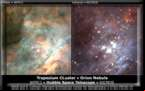 Trapezium Cluster - Orion Nebula