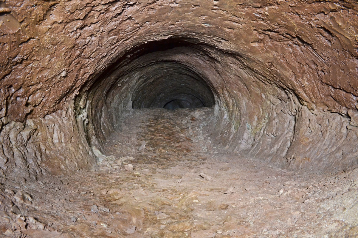 Paleotoca