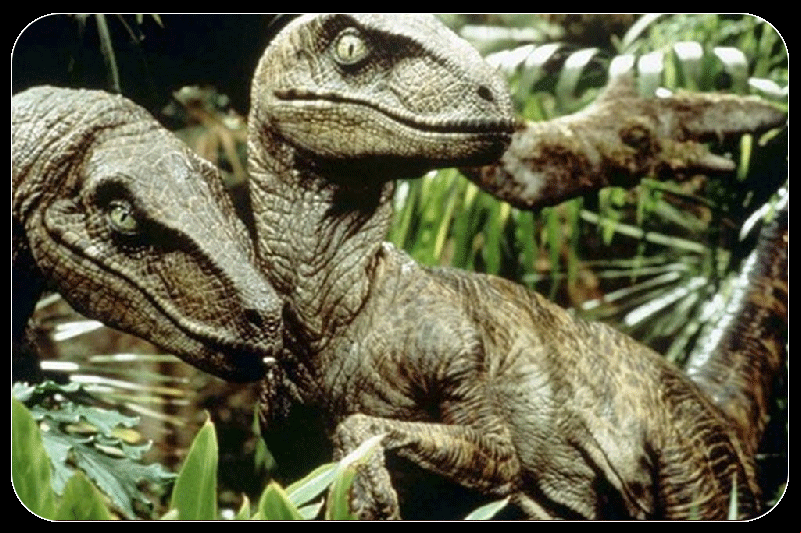 Velociraptor