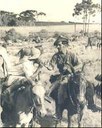 Tropeiros - Foto de tropeiros em Ponta Grossa no in