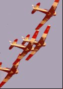 T-6